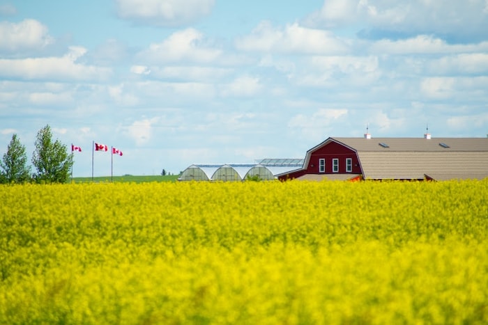 Une exploitation agricole en Alberta où flotte le drapeau canadien.