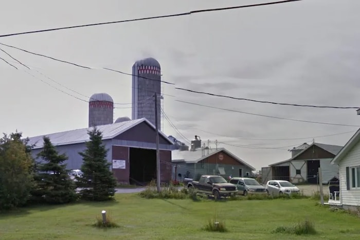 Deux granges, deux silos à grain et un autre bâtiment, tous situés derrière une maison.