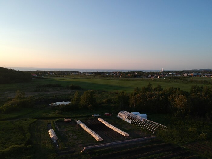 Vue sur la ferme du Castor gras et la ville de Trois-Pistoles