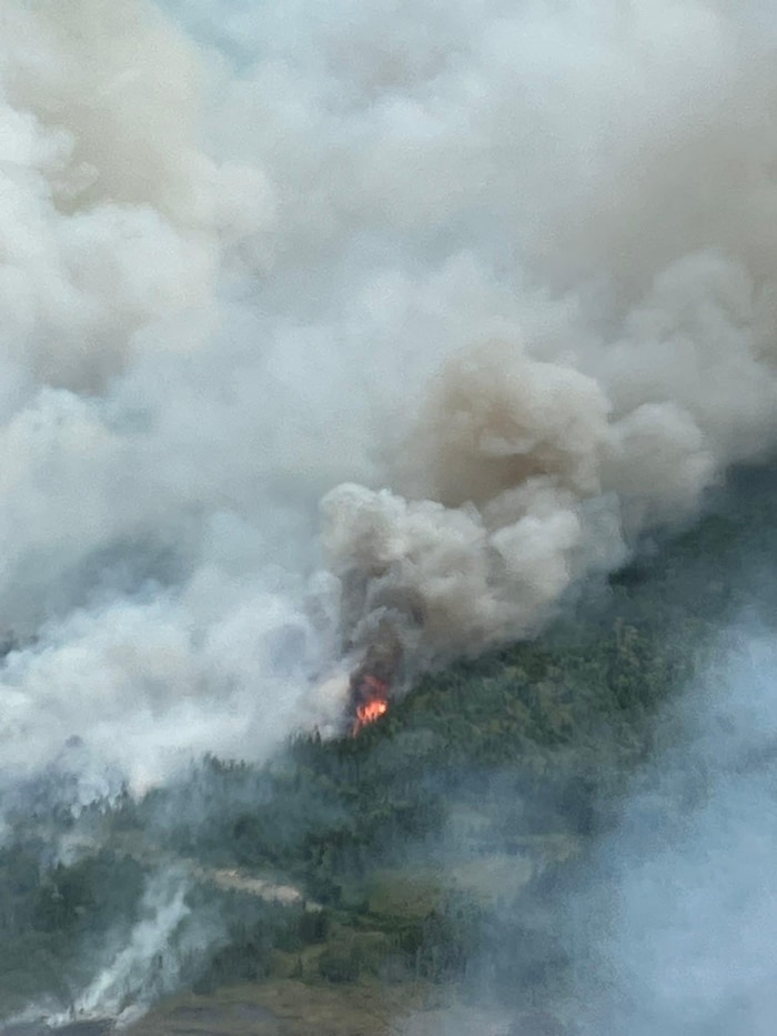 Photo aérienne de quelques flammes et d'un épais mur de fumée grise et jaune, au-dessus d'une forêt.
