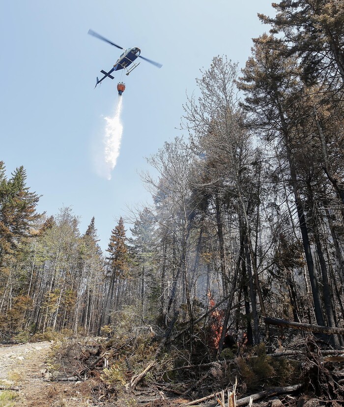 De l'eau tombe d'un hélicoptère qui survole un feu de forêt.