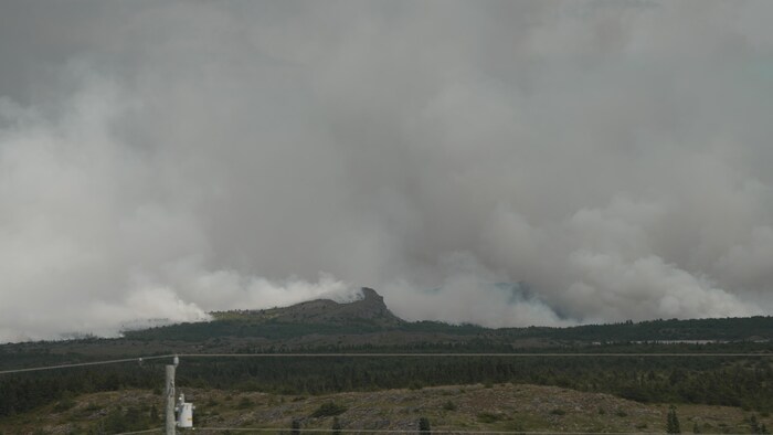 Un mur de fumée dense couvre complètement le ciel au-dessus d'une portion    montagneuse et boisée.