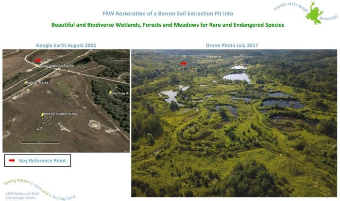 A before-and-after poster from the Friends of the Rouge Watershed, showcasing their ecological restoration work at a site in the eastern part of Toronto.