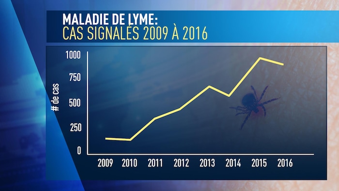 Un graphique démontre le nombre de cas signalés de la maladie de Lyme entre 2009 et 2016. 