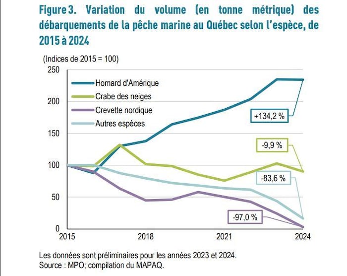 Un graphique montre que les volumes des débarquements de crabe, de crevettes et des autres espèces sont en baisse, sauf le homard.
