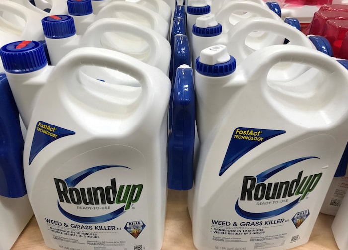 Des bouteilles d'herbicide Roundup, qui contiennent du glyphosate.