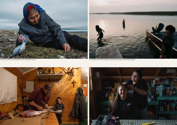 Quatre images qui montrent le quotidien de l’équipe chargée d’observer les caribous.