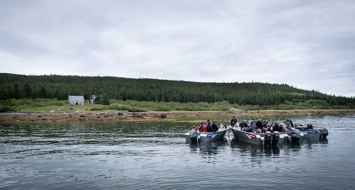 Plusieurs embarcations transportant des passagers sont regroupées sur une étendue d’eau, près d’une rive boisée.