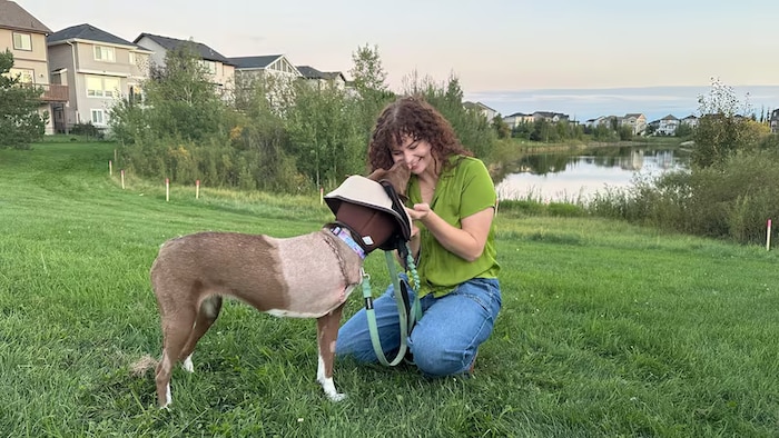 Une personne s'amuse avec sa chienne au bord d'un étang.