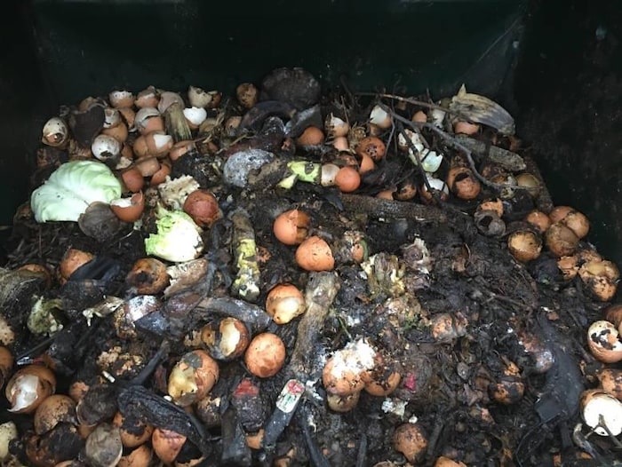 un tas de matières organiques, patates, coquilles d'oeufs, salades...