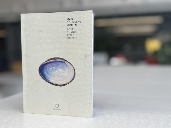 Un livre posé sur une table.