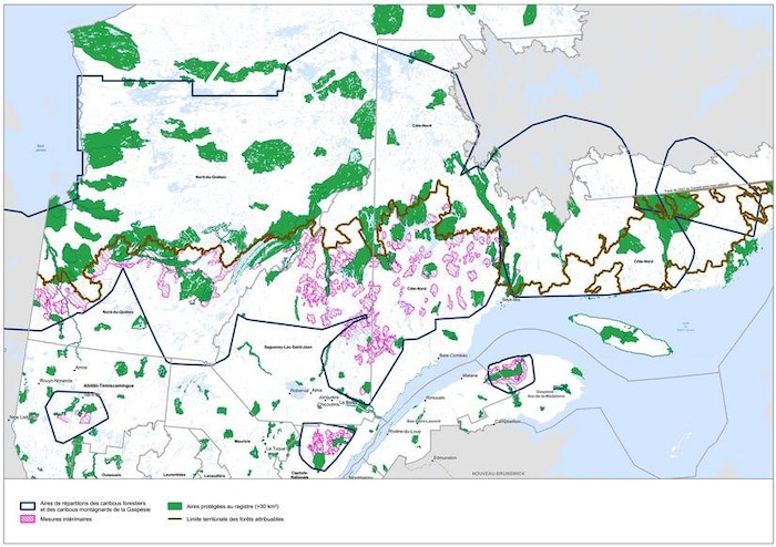 Carte des zones intérimaires du ministère des Ressources naturelles et des Forêts.