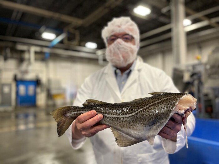 Un homme vêtu d'une combinaison de travail blanche, coiffé d'un bonnet sanitaire et d'un masque couvrant sa bouche et son nez, est debout dans une usine et tend vers la caméra un poisson mort visqueux et sans tête.
