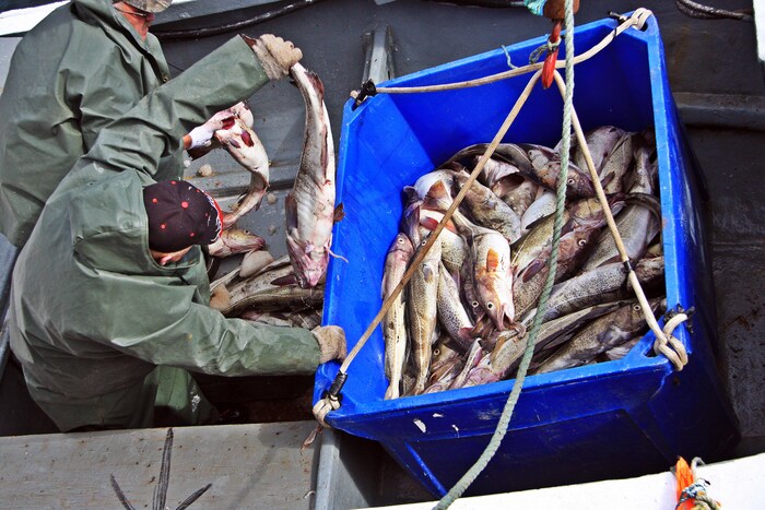 Leurres Spinner FFT Toby Slimline 40 G – Lot De 5 – Pour Maquereau, Bar, Brochet – Pêche En Mer Ou Eau Douce