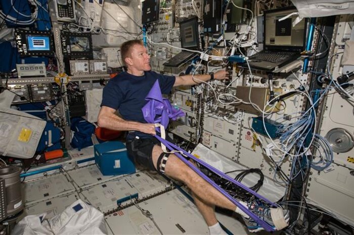 L’astronaute britannique Tim Peake a subi une échographie de la jambe en mai 2016 afin de collecter des données dans le cadre de l’étude Vascular Echo, la deuxième phase de l’expérience.