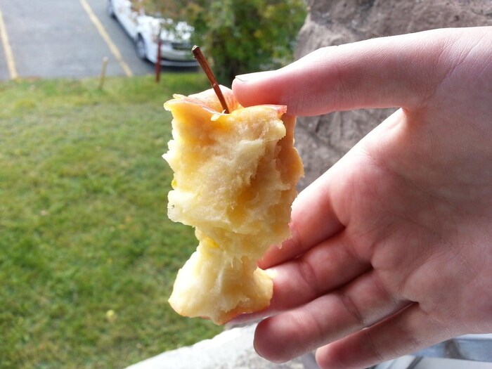 A file photo of an apple core.