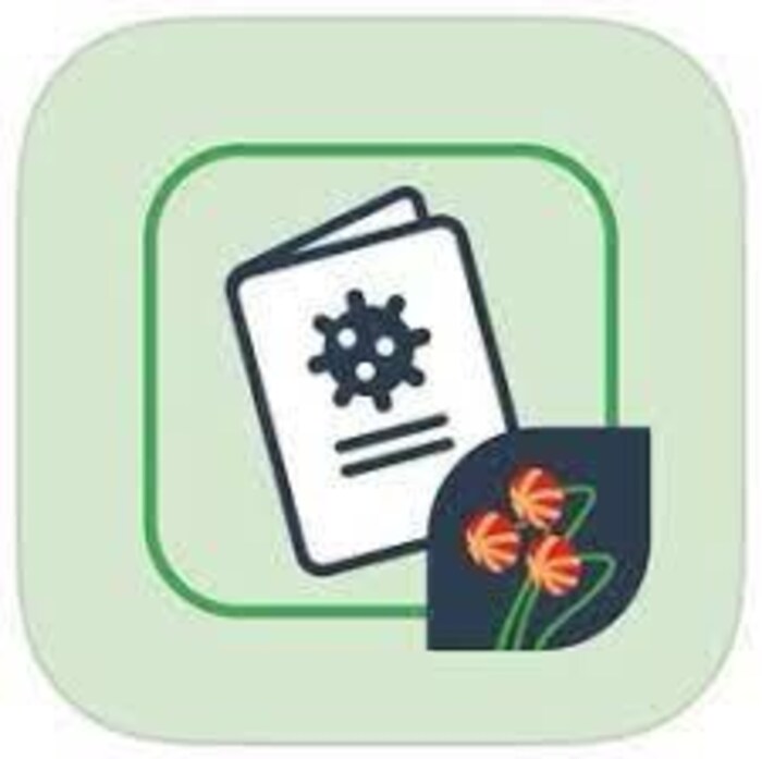 Le logo de l'application mobile NLVaxPass.