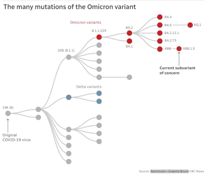 The many mutations of the Omicron variant.