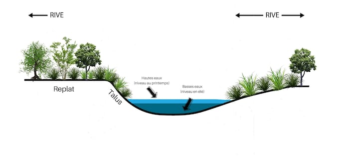 Un schéma montre une rivière bordée d'arbustes et d'arbres.