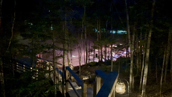 Un parcours interactif lumineux au milieu d'une forêt.