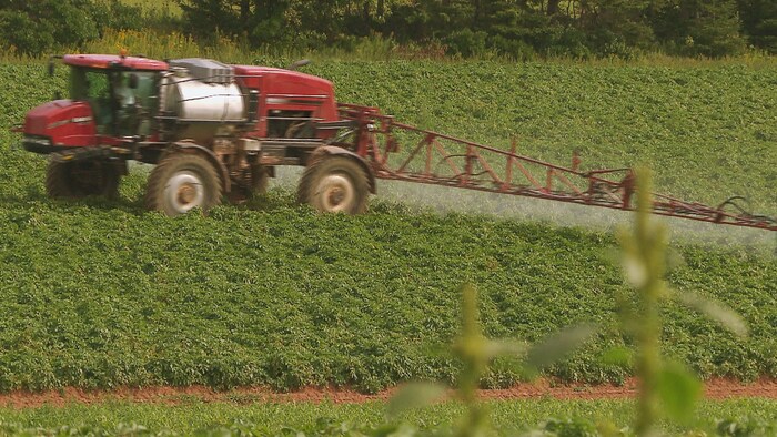 Un tracteur spécialisé arrose un champ de pommes de terre de produits chimiques.