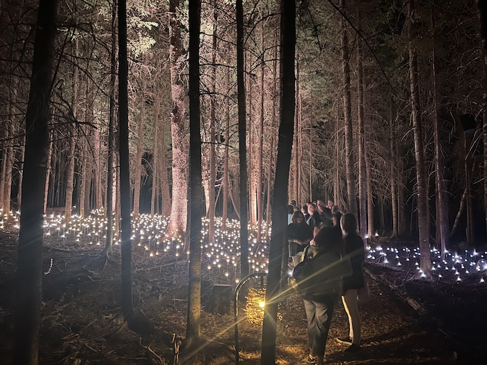 Akadi Lumina, une expérience nocturne lumineuse et magique au Pays de la Sagouine RadioCanada Akadi Lumina, une expérience nocturne lumineuse et magique au Pays de la Sagouine RadioCanada