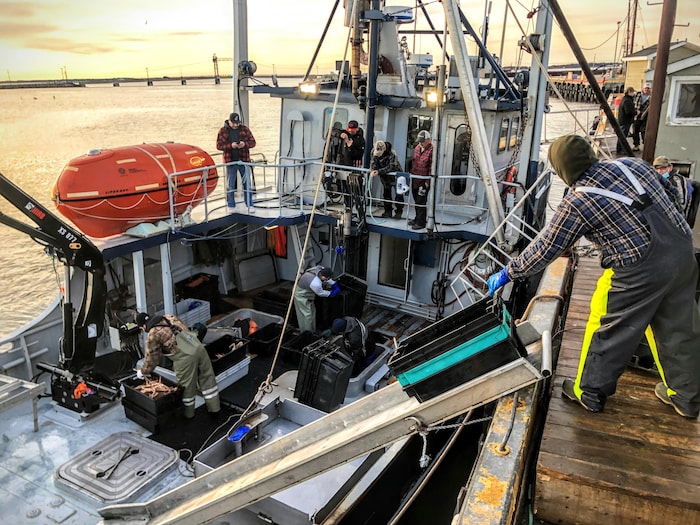 Pêcheurs acadiens et micmacs travaillent ensemble à bord du bateau.