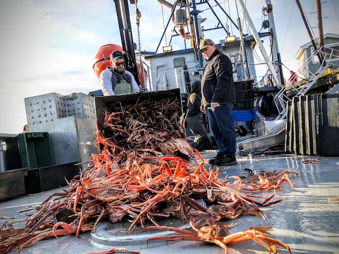 Un pêcheur renverse une caisse de crabe sur le pont du bateau sous le regard de son capitaine.