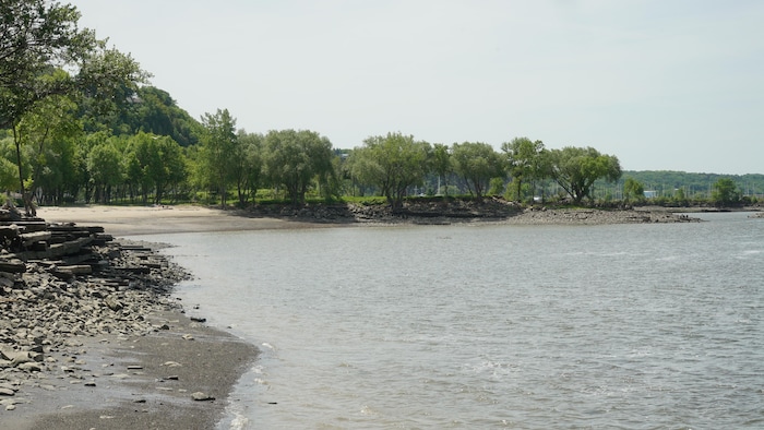La qualité de l'eau ne permet pas encore de se baigner dans le fleuve Saint-Laurent à Lévis.