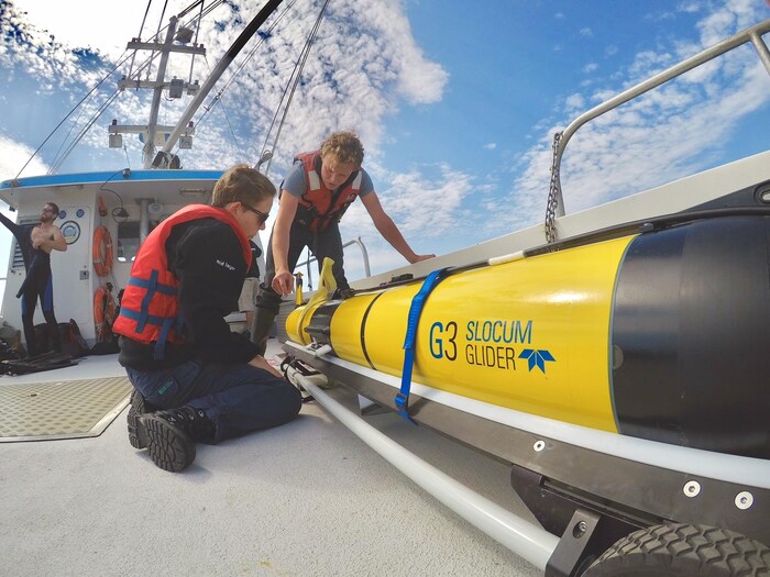 Des techniciens océanographiques de l'Université Dalhousie vérifient le troisième planeur qui sera déployé dans le golfe du Saint-Laurent pour recueillir des renseignements sur les baleines noires.