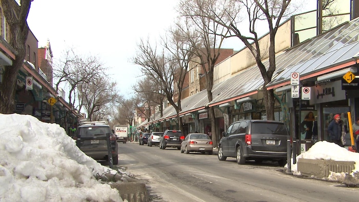 Plan d'ensemble de la Plaza St-Hubert.