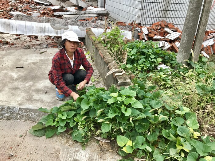 Une résidente de Nantong dont la maison a été démolie pour faire place à un futur parc industriel. Octobre 2017