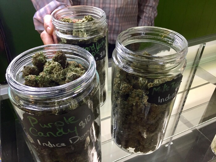 Trois pots contenant de la marijuana