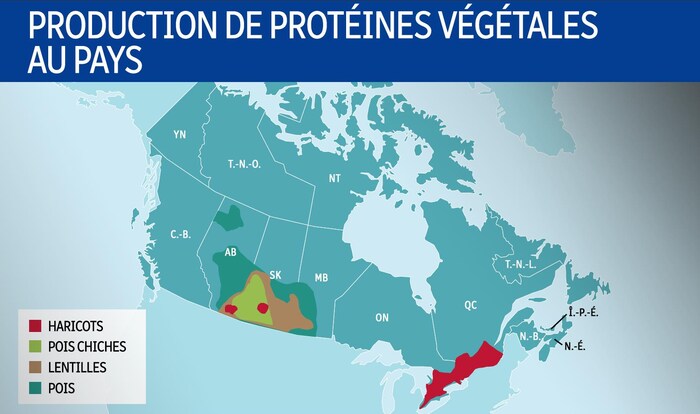 Une carte du Canada démontre les endroits où sont produits les protéines végétales. 