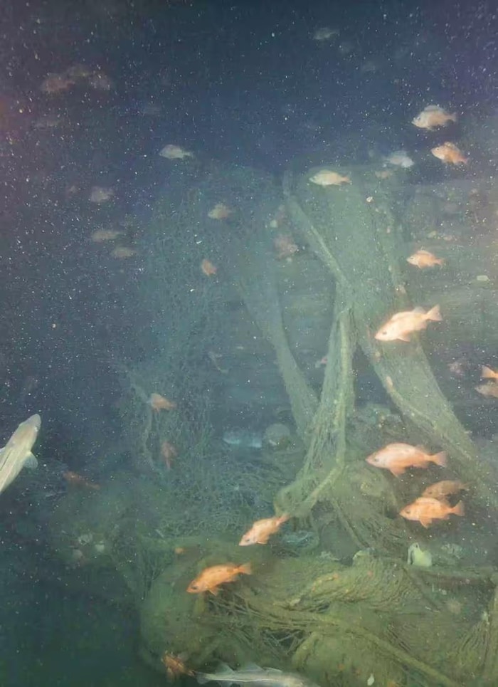 Les premières images de l'expédition montrent qu'une grande partie du Quest est recouverte de vieux filets de pêche.