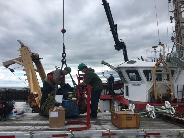 Des chercheurs de l'Institut Maurice-Lamontagne chargent l'équipement à bord du navire de recherche.