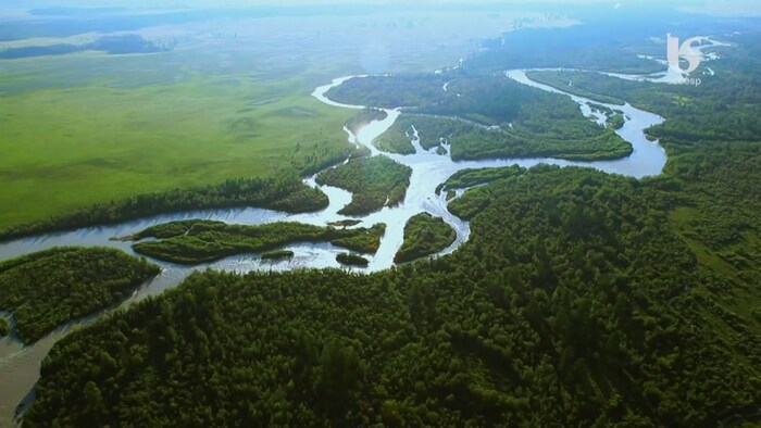 Vue aérienne de la forêt « mata atlantica », traversée par une rivière et flanquée par des terres agricoles.