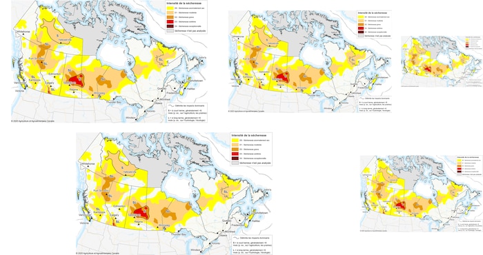 Une carte thermique du Canada.