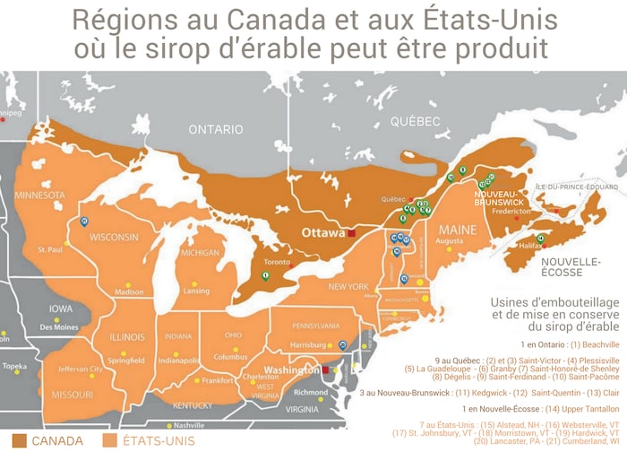 Une centaine de nouveaux producteurs de sirop d'érable dans la région