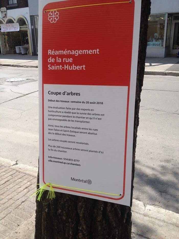 Voici le message affiché sur la rue St-Hubert par la Ville en début de semaine. 