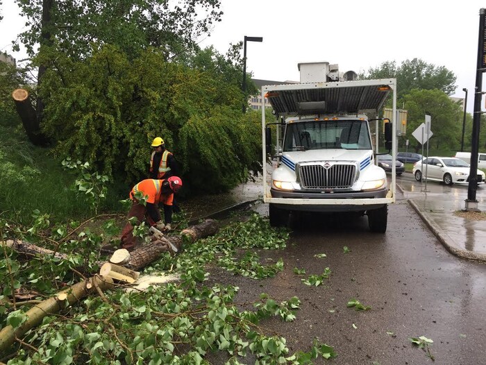 Les vents forts ont causé des dommages à Edmonton RadioCanada