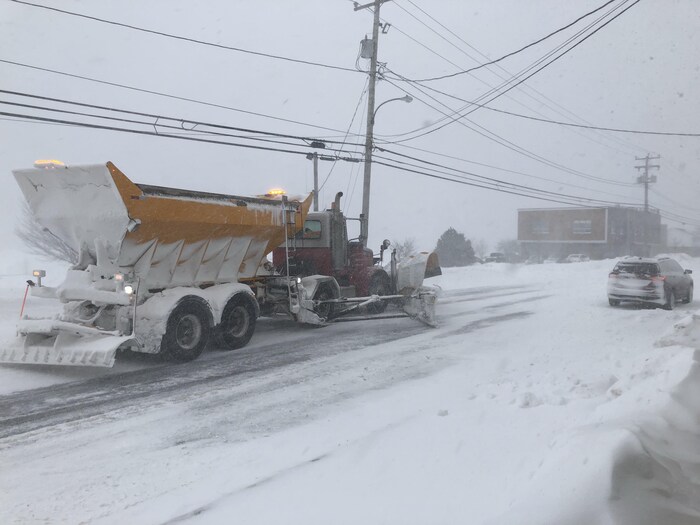 Reptation et transport de la neige par le vent