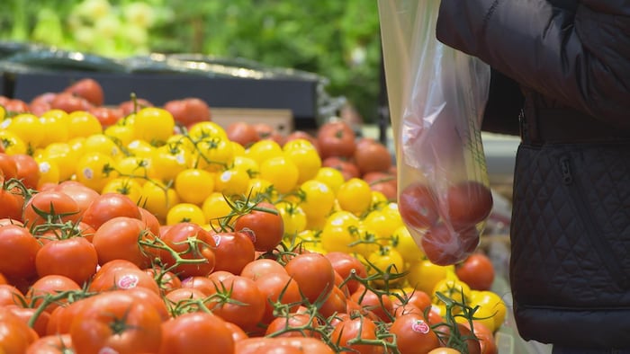 Un consommateur place des tomates dans un sac en plastique.