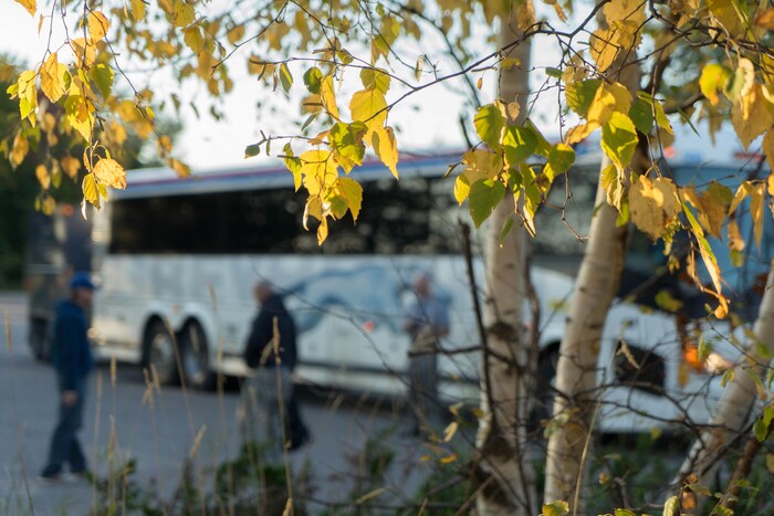 Un bus Greyhound.