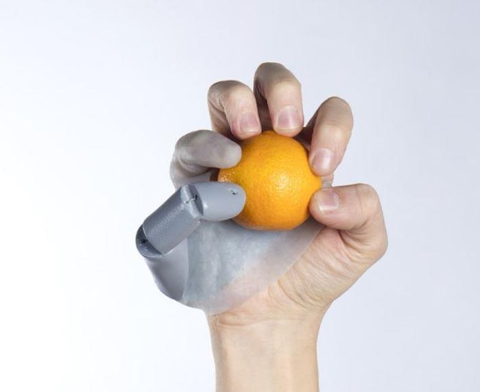 Une main tenant une orange à l'aide du troisième pouce.