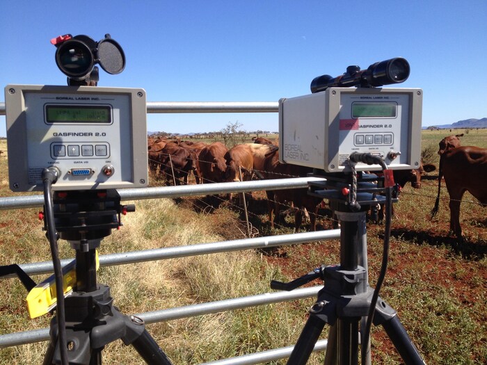 Deux appareils de mesure à côté d'un petit troupeau de vaches