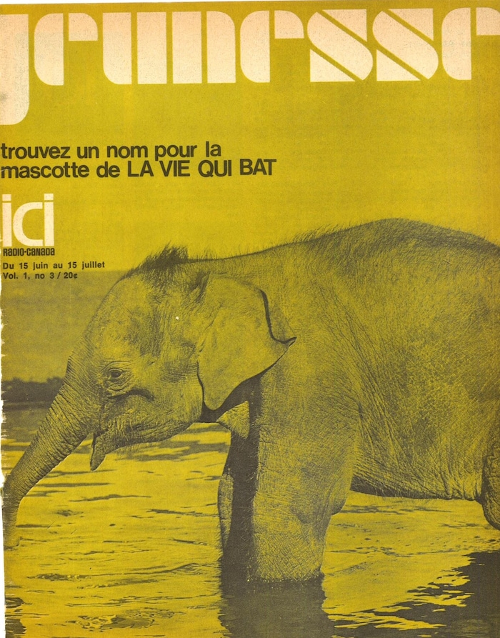 Page couverture du cahier jeunesse de la revue ICI Radio-Canada avec une photo d'éléphanteau.