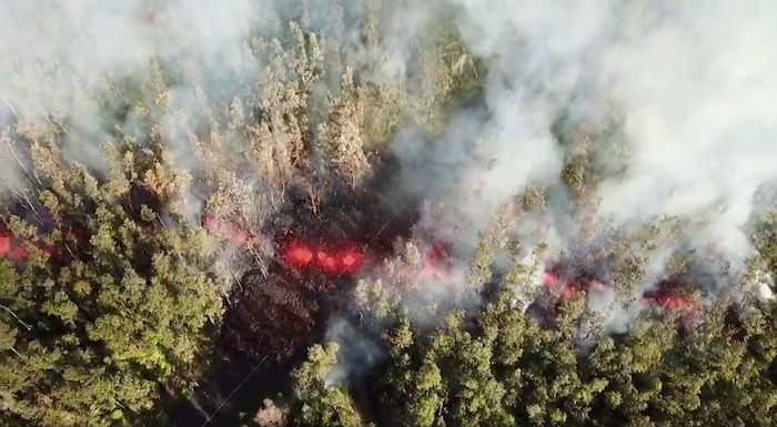 De la lave émerge du sol par une fissure dans un secteur boisé entourant le volcan.