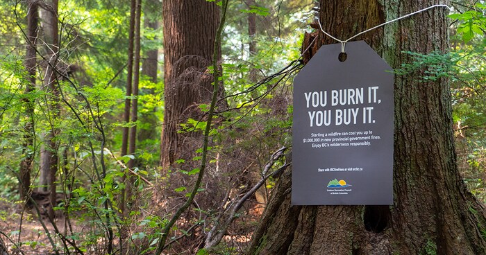 Une affiche où on peut lire You burn it, you buy it, est attachée à un arbre. 