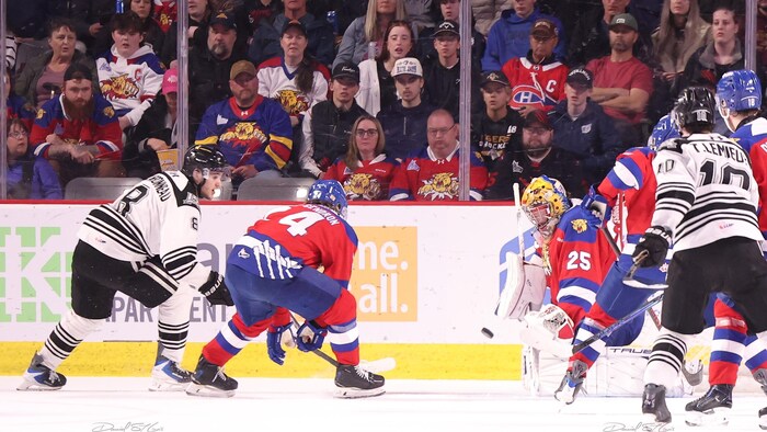 Joueurs sur la glace.